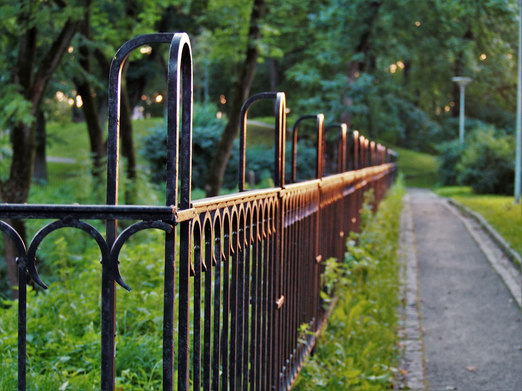 Black metal hoop fence along a garden path